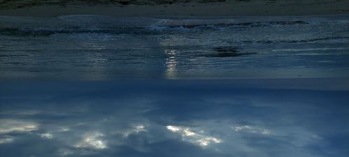 Természet és tehetség: Lezárult a közismereti hét a Székelyben