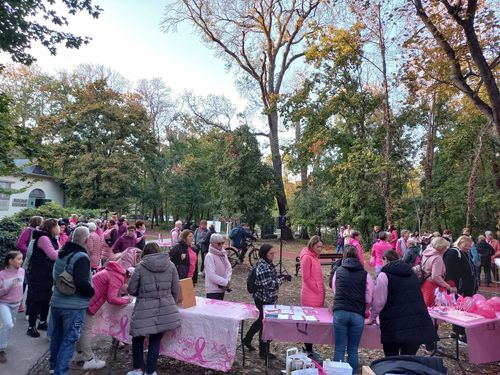 Rendezvényszervezés a gyakorlatban – összefogás a rózsaszín sétán